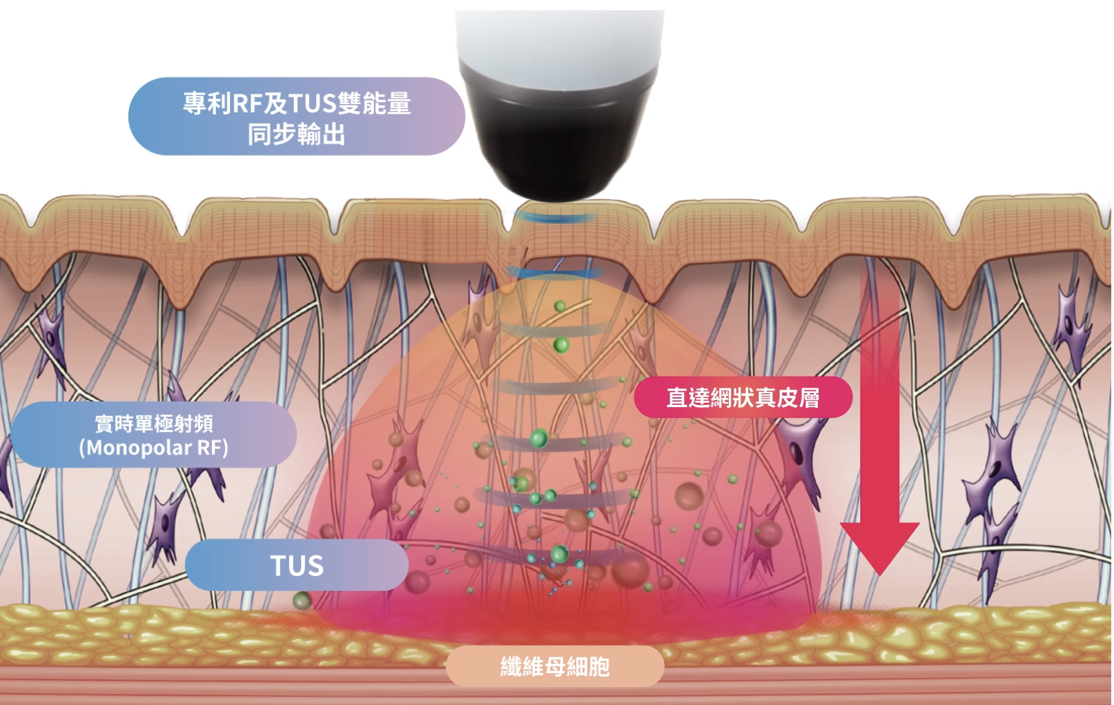 Screenshot 2025-08-02 at 5.45.53 PM